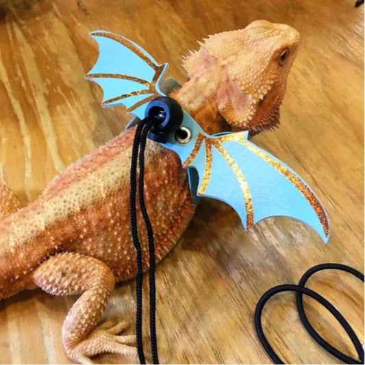 1 Set Lizard Leash Set, Outdoor Leash Set, Reptile Outdoor Harness, Chameleon Squirrel Detachable Lizard Leash Suitable For Bearded Dragon/Gecko/Chameleon/Squirrel/Sugar Glider, Outdoor Safety Strap