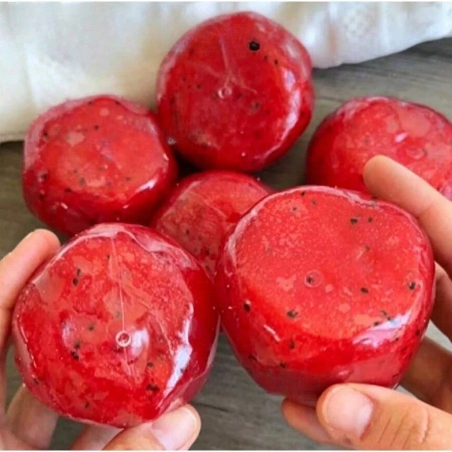 1pc Creative Watermelon Shaped Squeeze Toy, Handmade Ice Cream Texture, Crisp ASMR Sound, Slow Rebound Stress Relief, Watermelon Ice Ball Sand Squeeze Toy, Anxiety Relief, ADHD/Autism Fingertip Toy, S