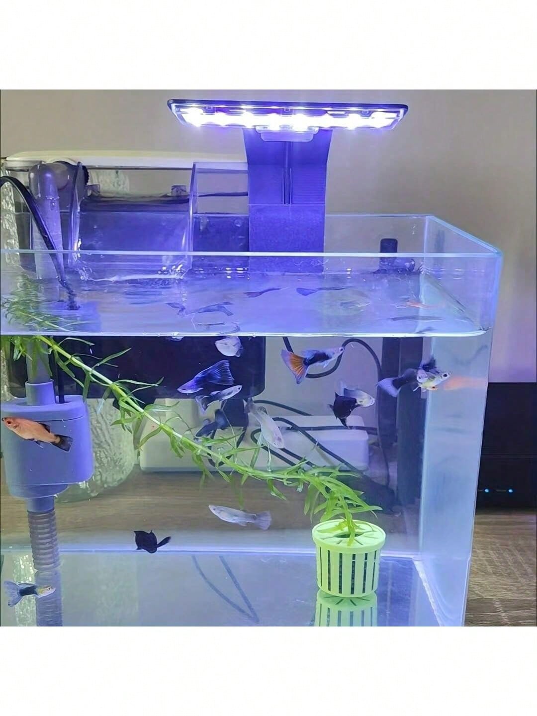 1pc Fish Tank Light, Aquarium Light- USB Powered, 10 Brightness Levels And 3 Lighting Modes- Suitable For Freshwater/Saltwater Fish Tanks, Aquarium Lighting, Aquatic Plants And Underwater Landscape