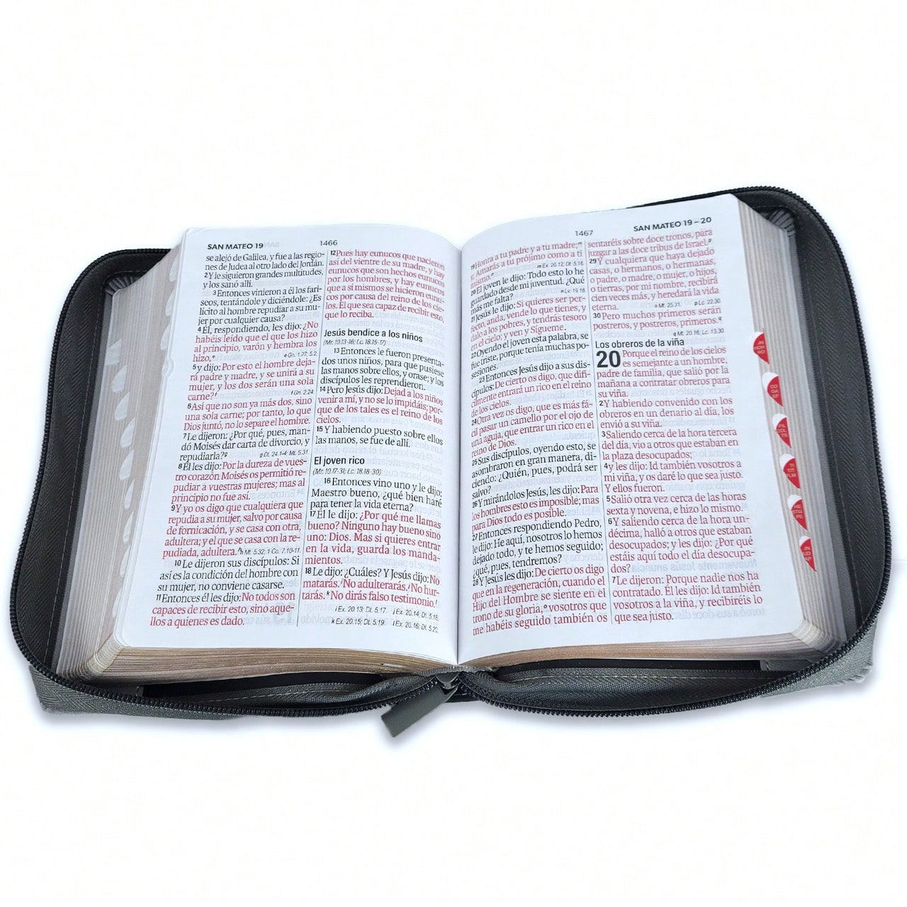Biblia Con Cierre Portatil Letra Grande 12 Puntos RV1960, Imit Piel Gris Leon Con Indice