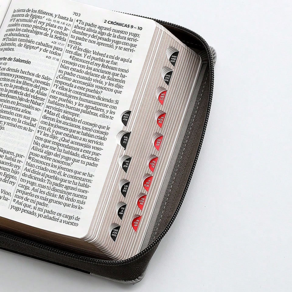Biblia Con Cierre Portatil Letra Grande 12 Puntos RV1960, Imit Piel Gris Leon Con Indice