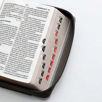 Biblia Con Cierre Portatil Letra Grande 12 Puntos RV1960, Imit Piel Gris Leon Con Indice