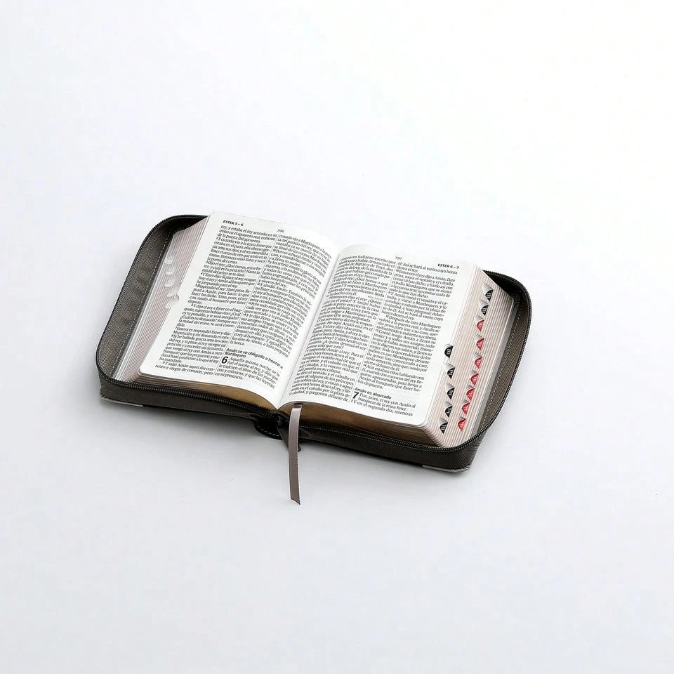 Biblia Con Cierre Portatil Letra Grande 12 Puntos RV1960, Imit Piel Gris Leon Con Indice