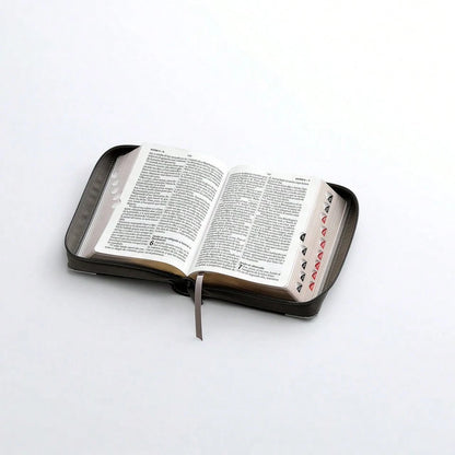 Biblia Con Cierre Portatil Letra Grande 12 Puntos RV1960, Imit Piel Gris Leon Con Indice