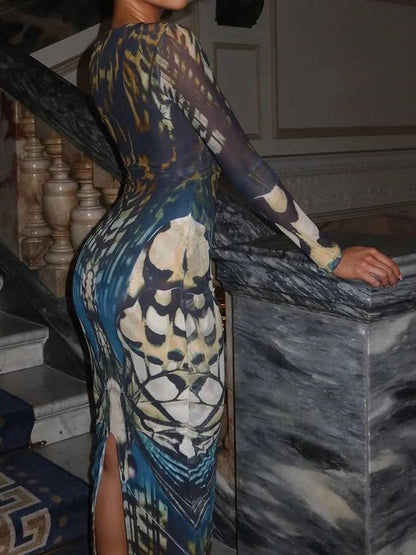 DOUCIU Sheer Mesh Long Sleeve V-Neck Maxi Dress, Sexy Party Nightclub Outfit