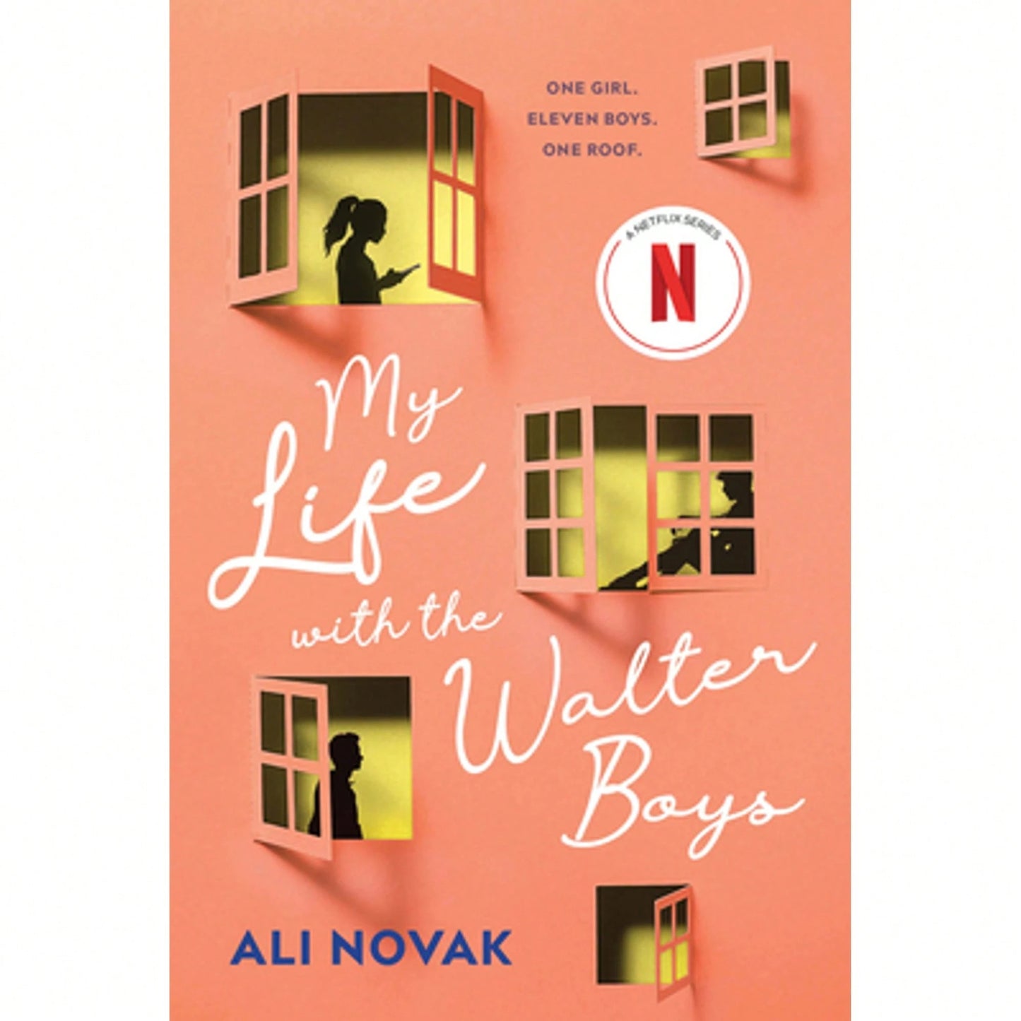 Pre-Owned My Life With The Walter Boys (Paperback) By Ali Novak