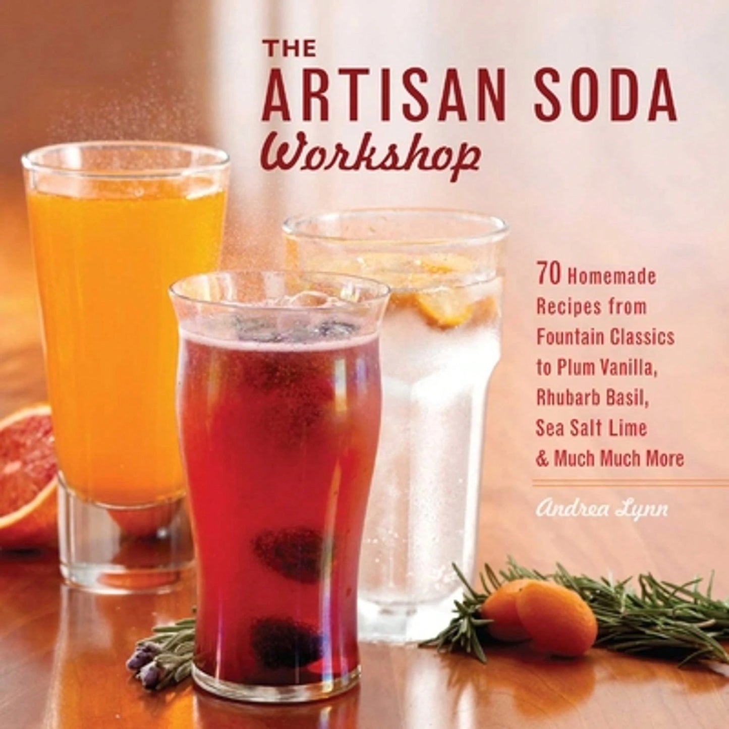 Pre-Owned The Artisan Soda Workshop: 75 Homemade Recipes From Fountain Classics To Rhubarb Basil, (Paperback) By Andrea Lynn