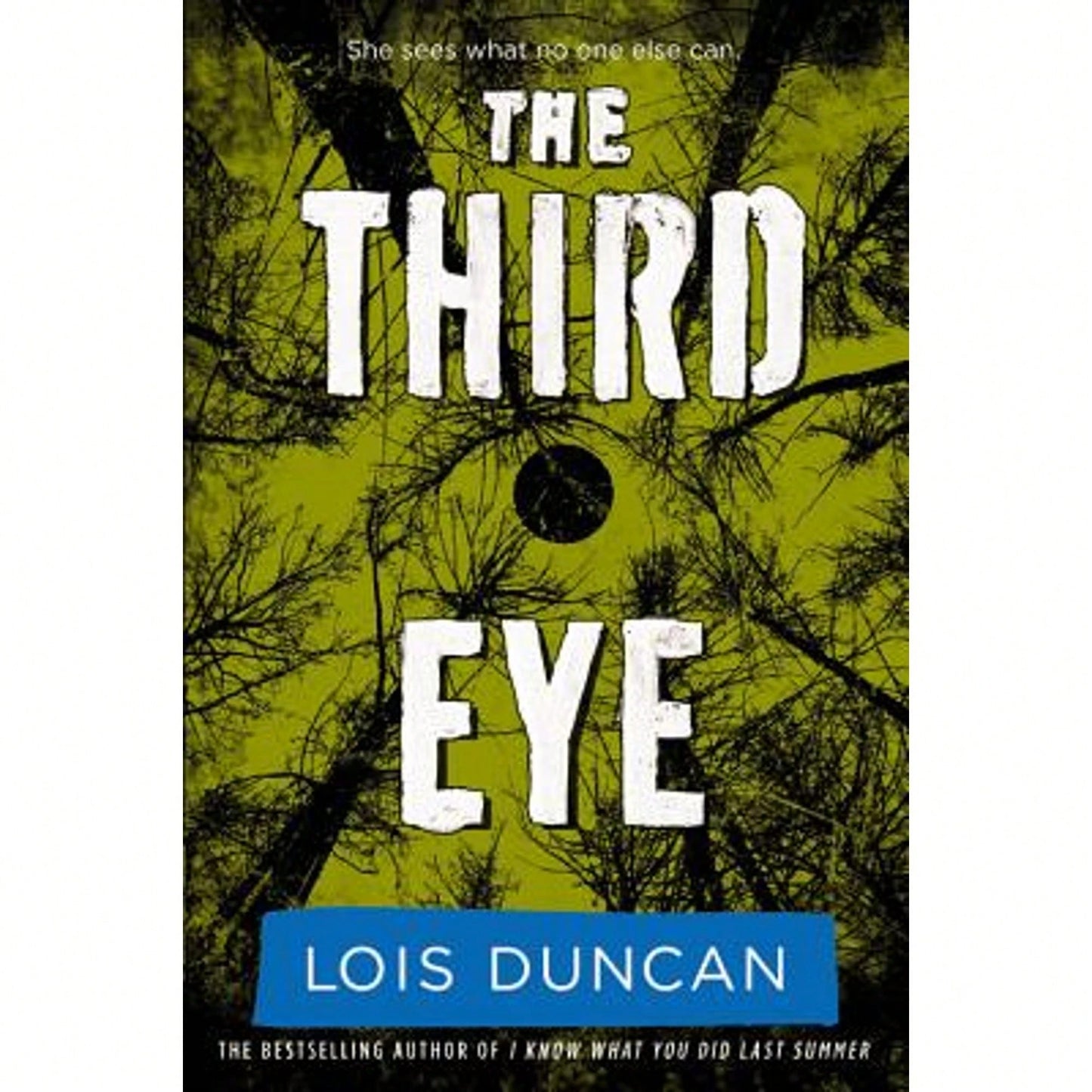 Pre-Owned Third Eye (Paperback) By Lois Duncan