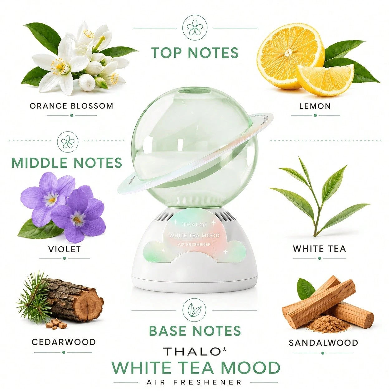 THALO Car Air Freshener Vanilla Scent Upside-Down Design Men's Cologne Perfume Mujer Deodorant Gifts For Him Women's Perfume Fragrance Diffuser