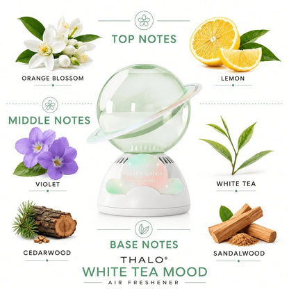 THALO Car Air Freshener Vanilla Scent Upside-Down Design Men's Cologne Perfume Mujer Deodorant Gifts For Him Women's Perfume Fragrance Diffuser