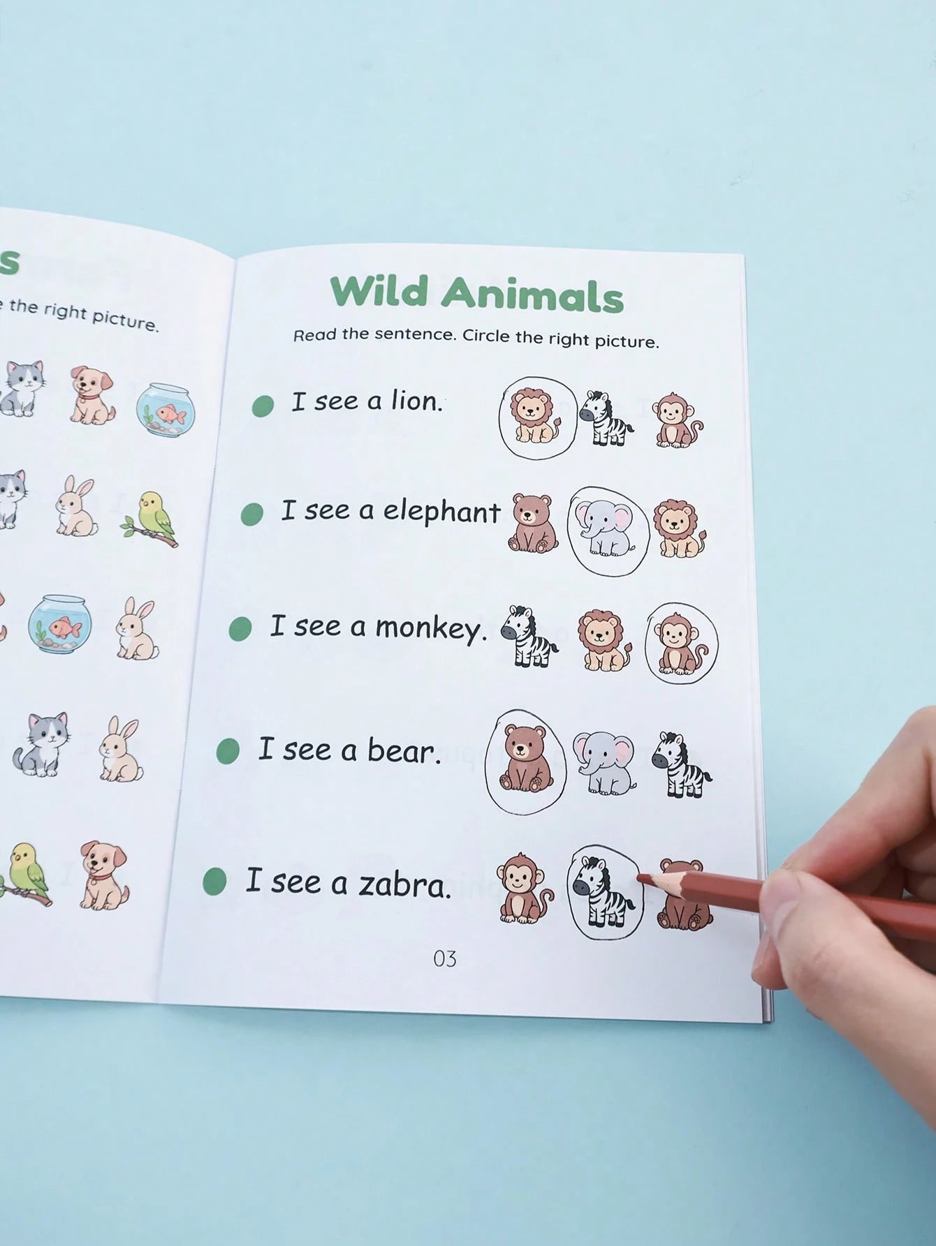 Toddler English Enlightenment A5 Workbook Read Sentences Circle Pictures Animal & Transportation Cognition Matching Activity Book Student Back To School Learning Supplies Teacher Reward Small Gift