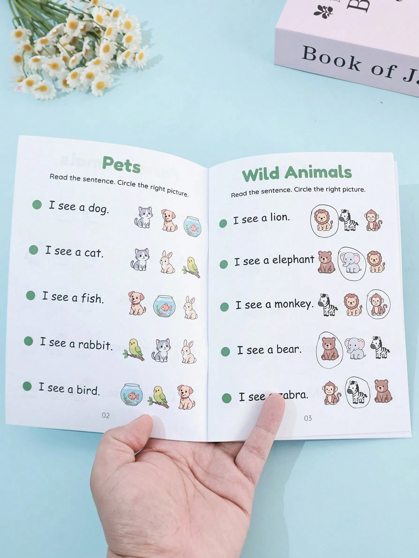 Toddler English Enlightenment A5 Workbook Read Sentences Circle Pictures Animal & Transportation Cognition Matching Activity Book Student Back To School Learning Supplies Teacher Reward Small Gift